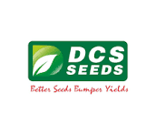 Dcs  Tamira seeds: